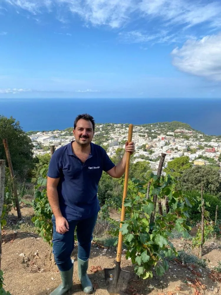 Alberto Celentano - Tenuta monte solaro Anacapri