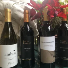 Ambris Sauvignon Blanc 2019, Sangiovese 2015, Bianco di Bisenzio 2019, Il Pugnalone 2016 Torre Bisenzio
