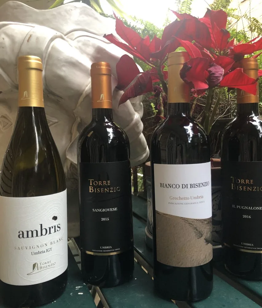 Ambris Sauvignon Blanc 2019, Sangiovese 2015, Bianco di Bisenzio 2019, Il Pugnalone 2016 Torre Bisenzio
