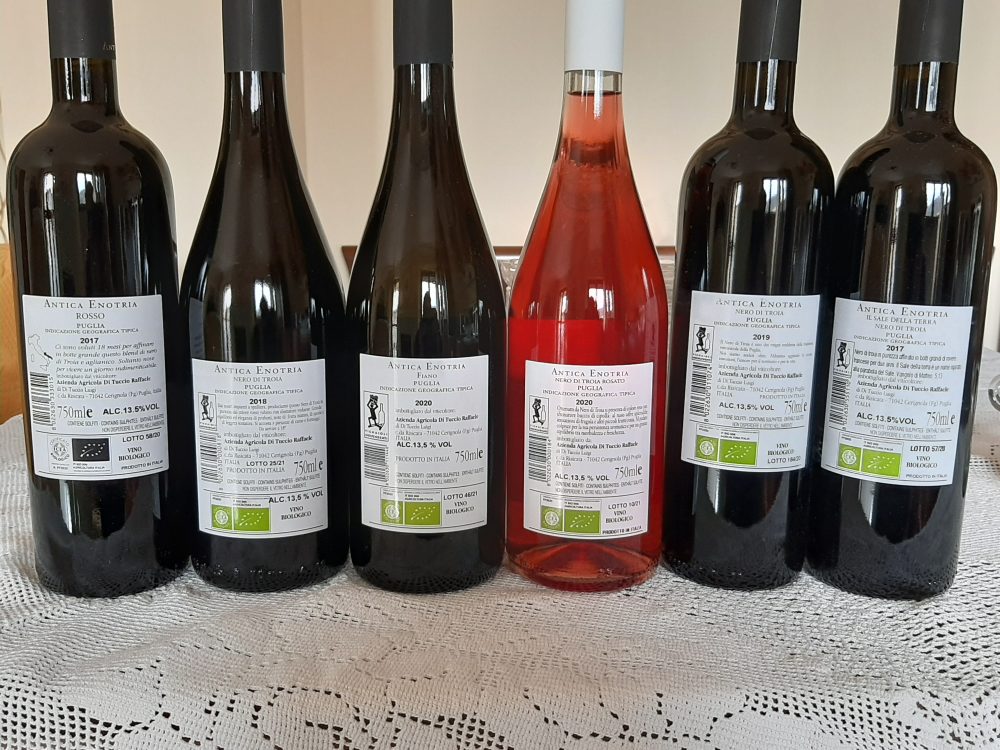 Controetichette vini Antica Enotria