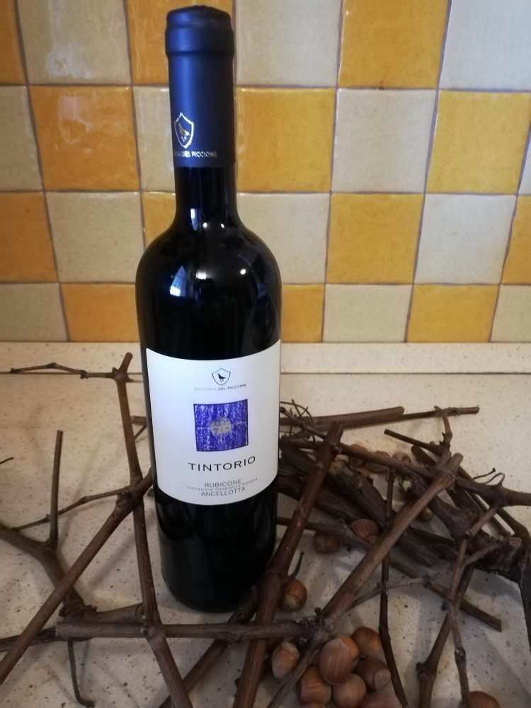 Tintorio - Rubicone IGP 2019