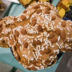 Regina Colomba - foto Fabrizio Leonarduzzi