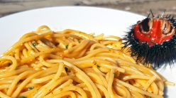 Spaghetti ai ricci di mare