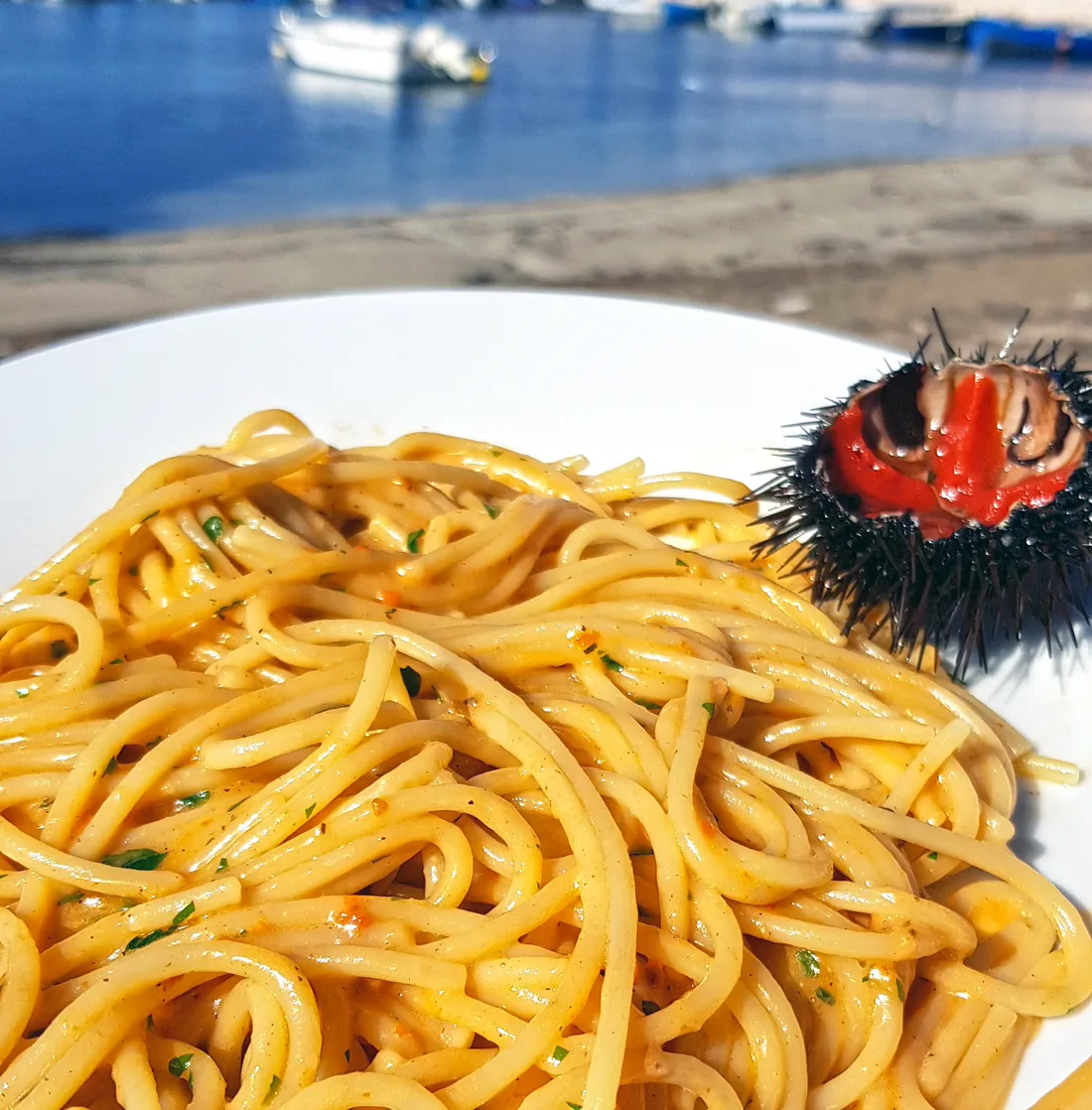 Spaghetti ai ricci di mare