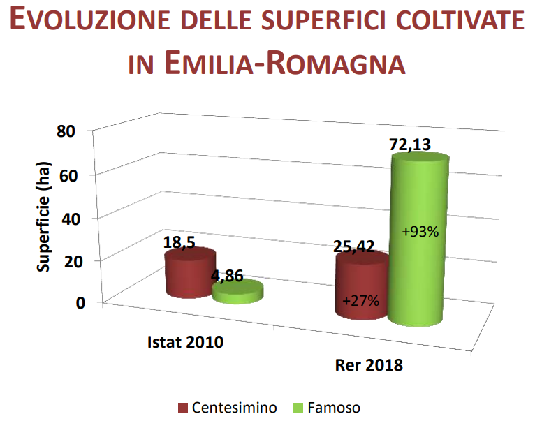 Superficie vitata