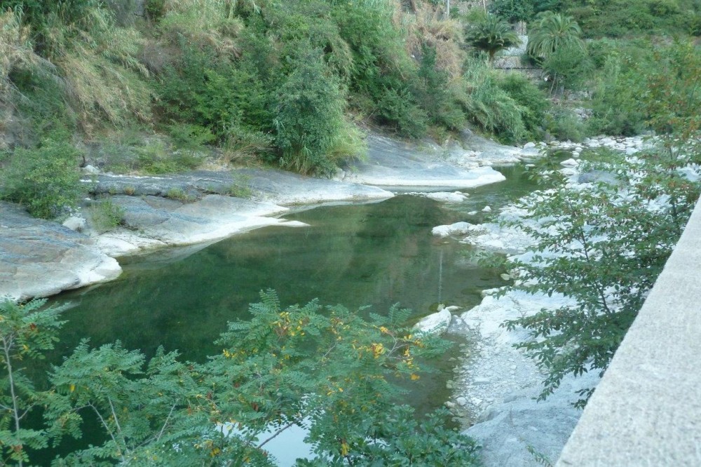 Torrente Argentina