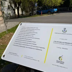 Ulivi della Rinascita - Targhe con Poemi