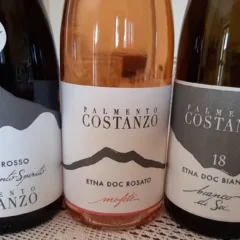 Vini Palmento Costanzo