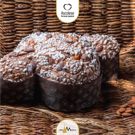 Colomba - Panificio Ascolese