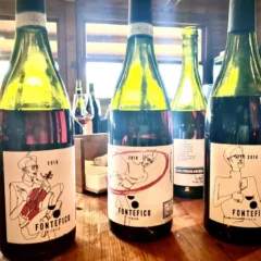 Cerasuolo dAbruzzo - Verticale