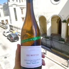 Di Sipio - Colline Teatine Bianco Millesimato 2016