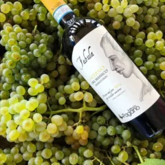 Fabula - Falerno Bianco