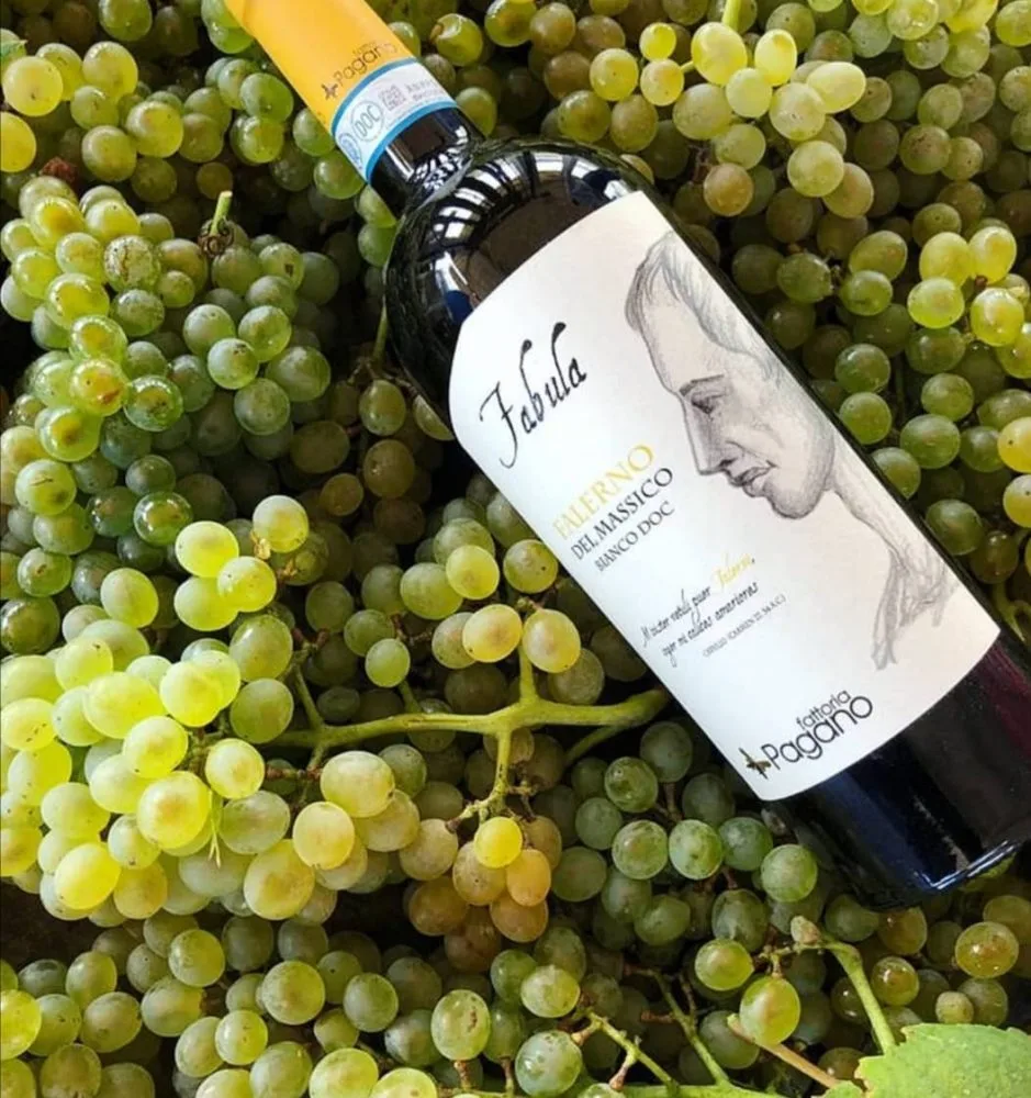 Fabula - Falerno Bianco