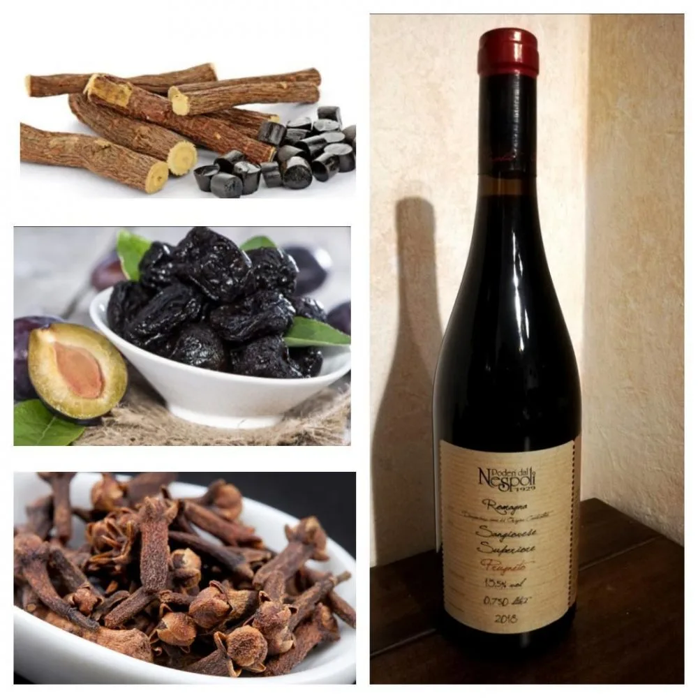 Sangiovese Superiore Prugneto - Poderi dal Nespoli