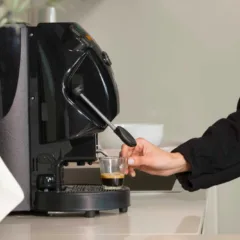 Quality Award Didiesse Frog