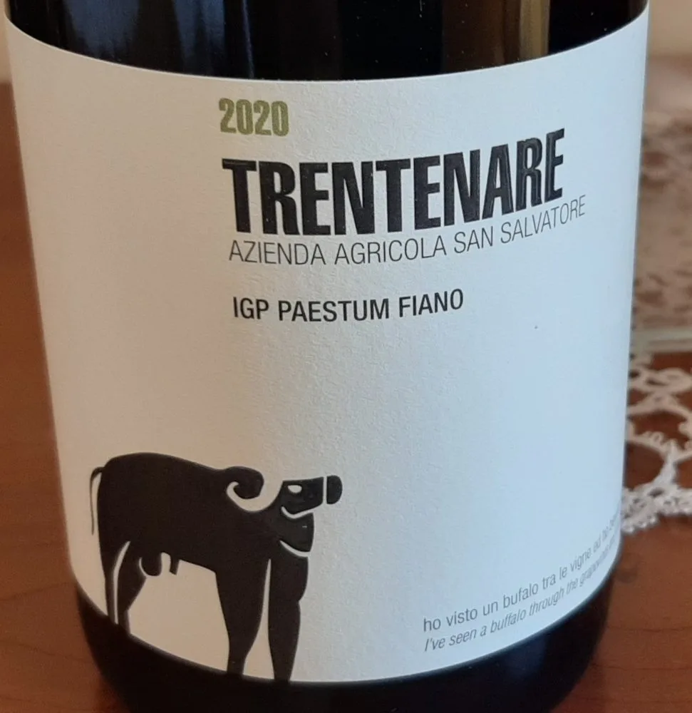 Trentenare Fiano Paestum Igp 2020 San Salvatore