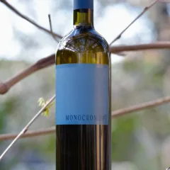 Monocromo 2016 Macciocca