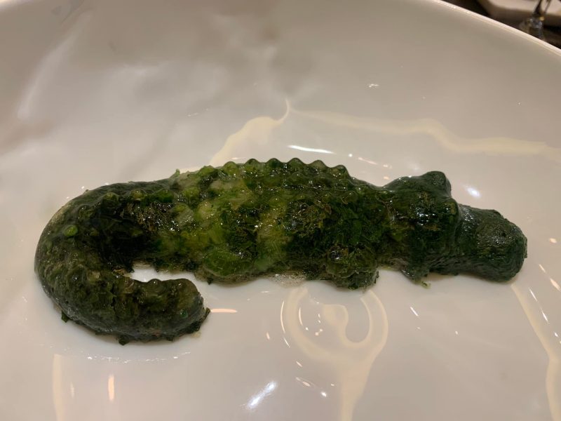 Ristorante Tre Olivi, il coccodrillo, consomme di erbe spontanee cilentane