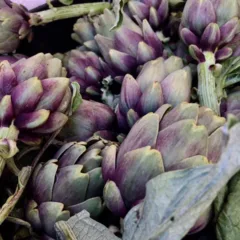 Rareche, Carciofo di Pattano