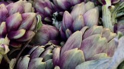 Rareche, Carciofo di Pattano