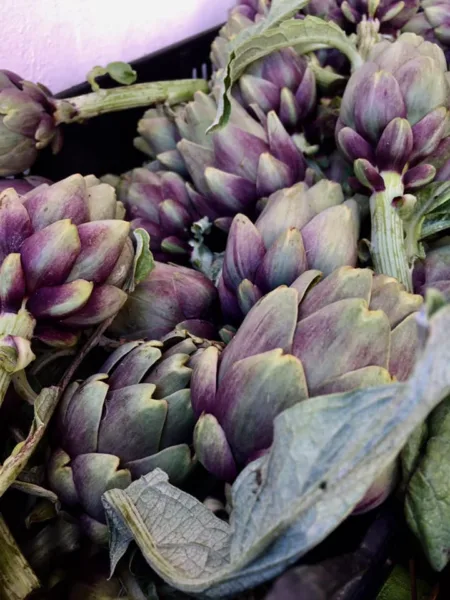 Rareche, Carciofo di Pattano