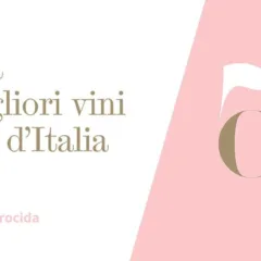 Guida 50 Top Italy Rosé 2021