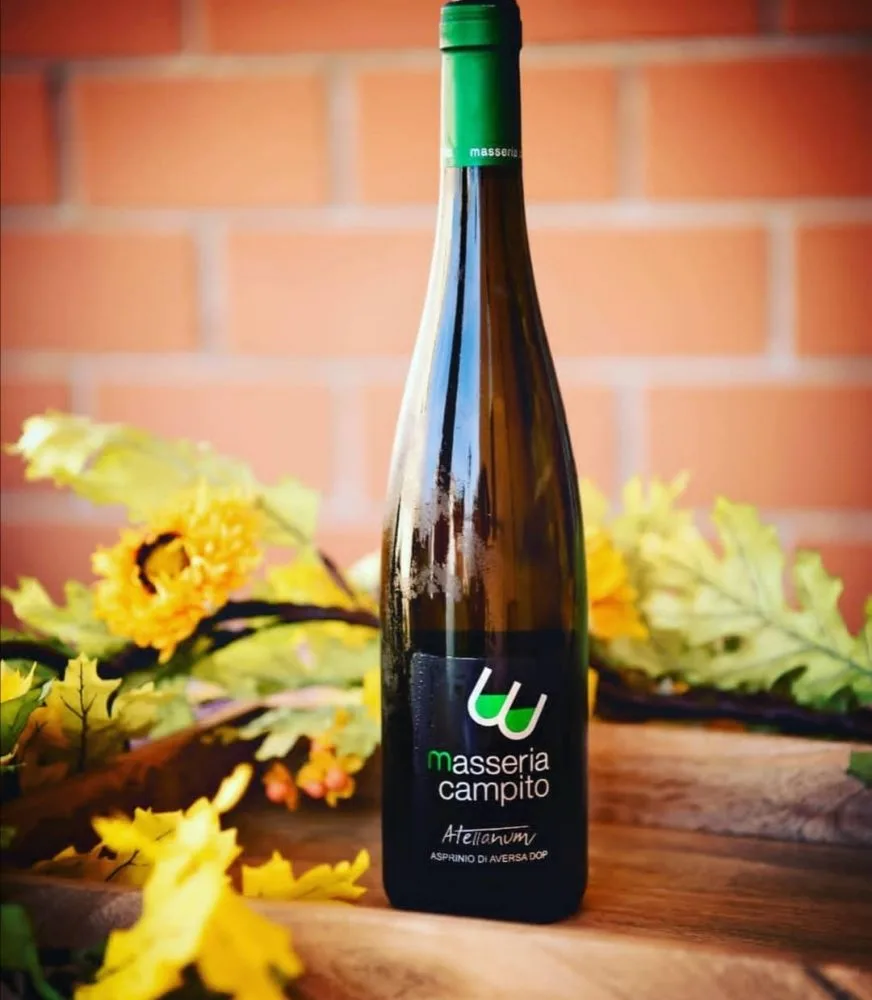 Asprinio - Atellanum