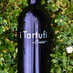 Barbera d’Asti Superiore I tartufi 2011