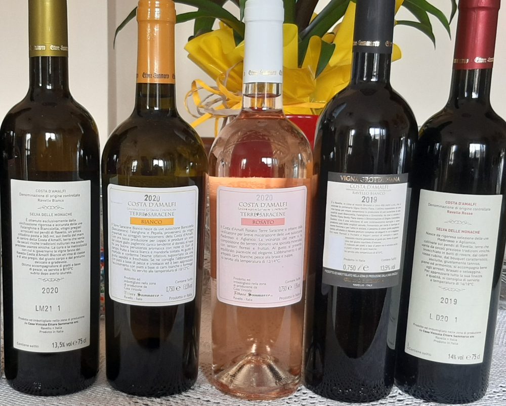 Controetichette vini di Ettore Sammarco