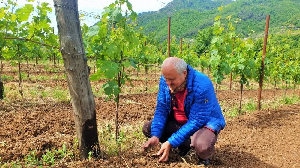 Tenuta San Francesco