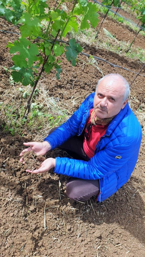 Tenuta San Francesco - Gaetano Bove e il terreno del vigneto