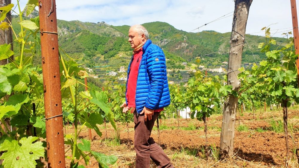 Gaetano Bove fra i soci fondatori dell'azienda