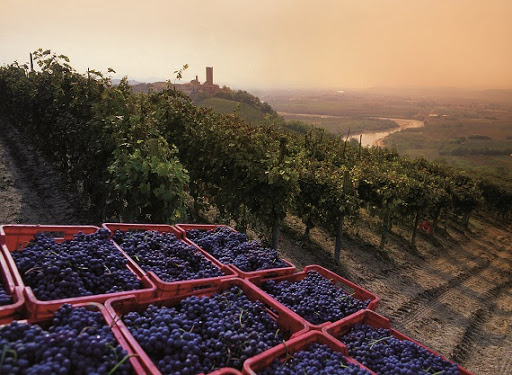 Barbaresco