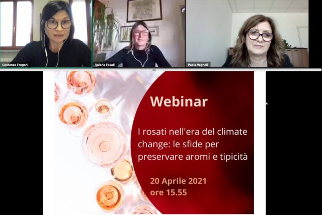 webinar rosato