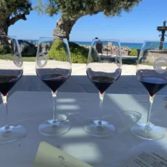 Montepulciano d'Abruzzo