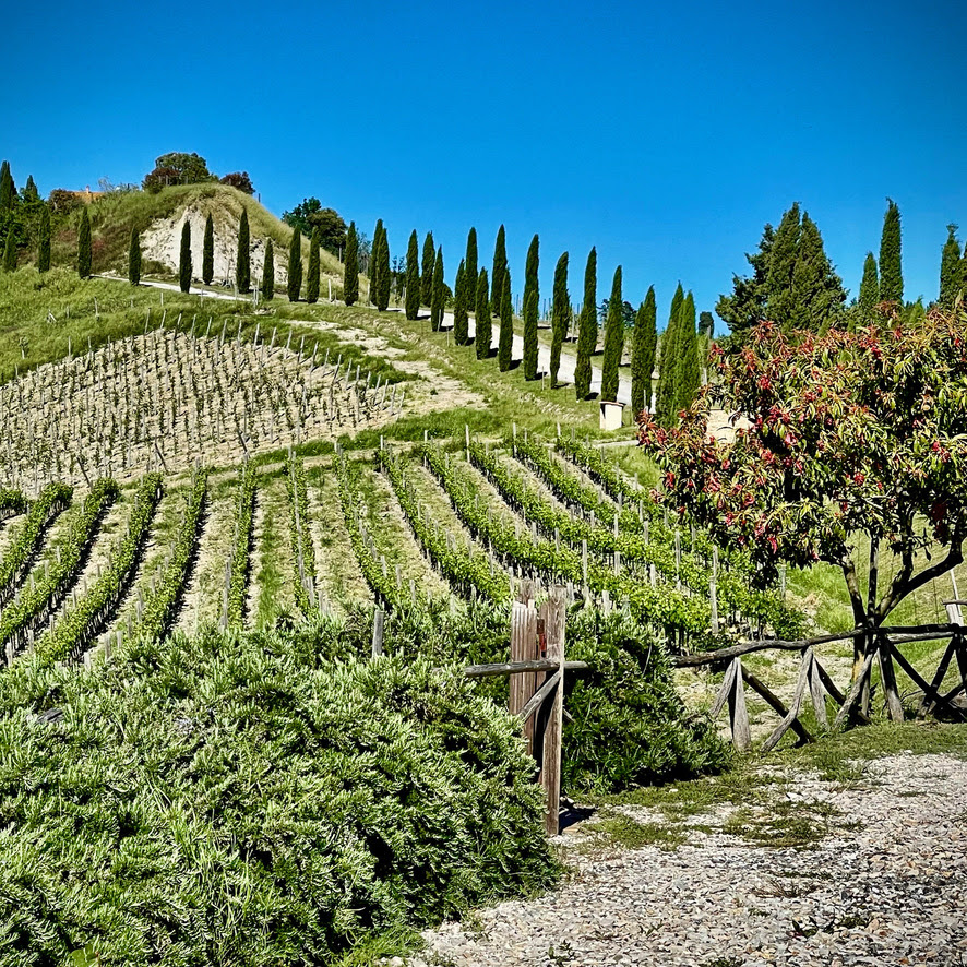 Podere Marcampo