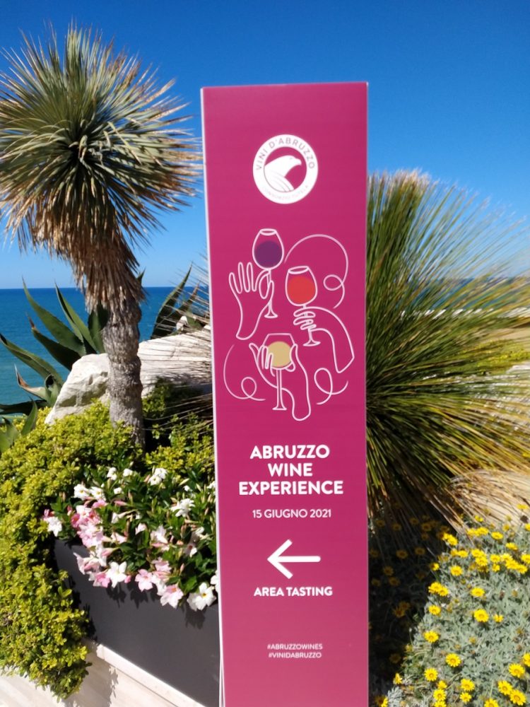 Abruzzo Wine Experience