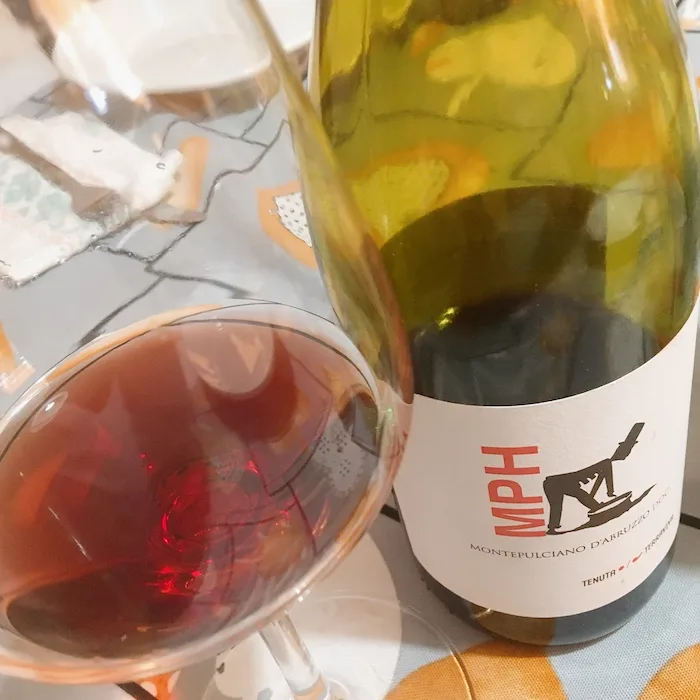 Anfora Terraviva Monte 2017