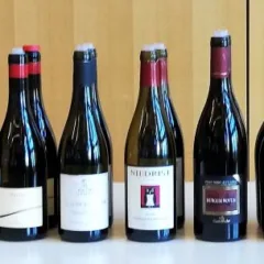 Alto Adige Pinot Nero - Bottiglie