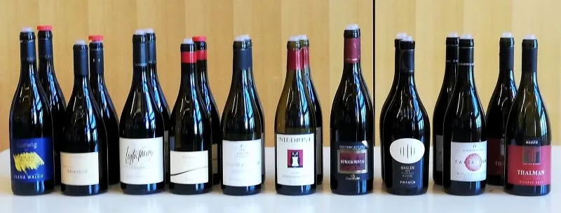 Alto Adige Pinot Nero - Bottiglie