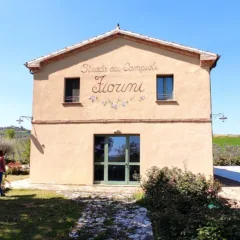 Carla Fiorini, Lady Bianchello, tra vino e Arte