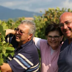 Castelle - Famiglia Assini