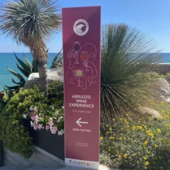 Cerasuolo d'Abruzzo - Anteprima