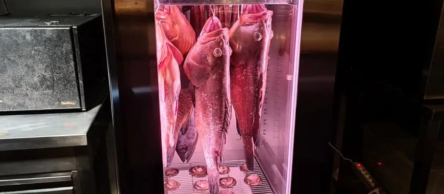 Frollatura del pesce da Cedroni