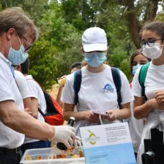 Olio Oro di Capri degustazione con giovani studenti
