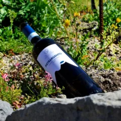 Pietrargento- Tenuta Augustea