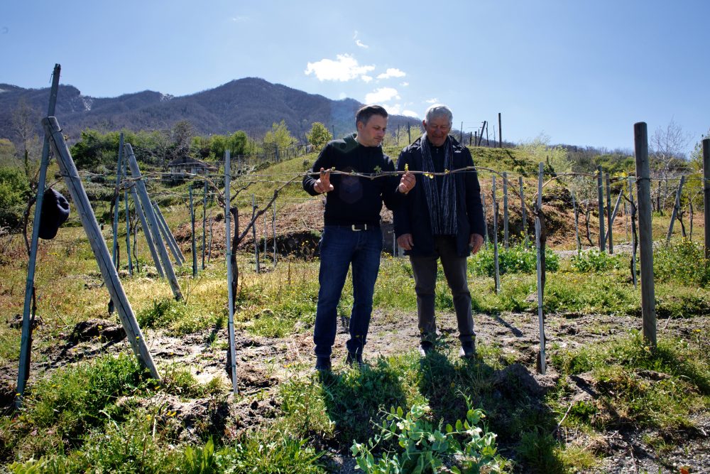 Tenuta Augustea - Angelo e Marco Nocerino