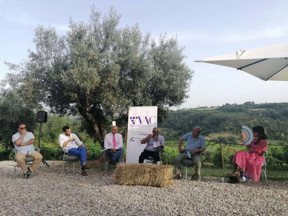 VAC-Vignaioli Artigiani di Cosenza- conferenza stampa