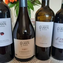 Vini Quarta Generazione Giovanna Paternoster