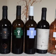 Vini Schola Sarmenti